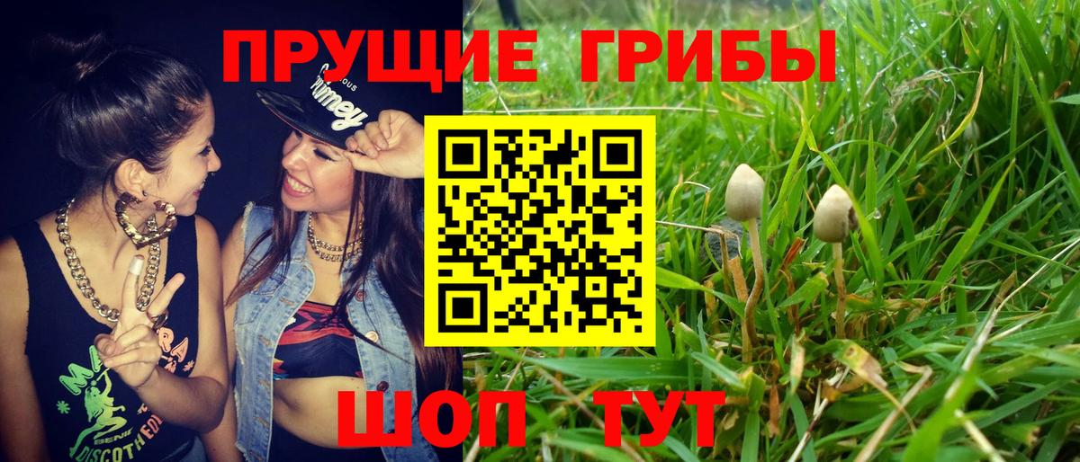 Галлюциногенные грибы ЛСД Минусинск